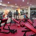 Exclusive Fitness - Sala de fitness